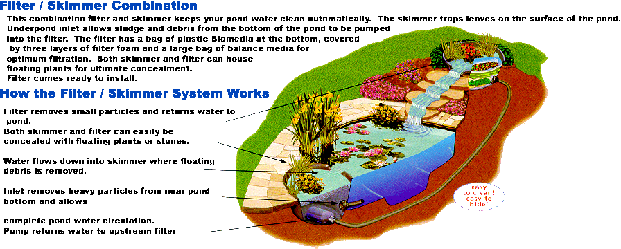 Pond_skimmerplan.gif